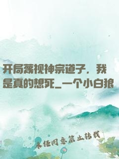开局蔑视神宗道子，我是真的想死