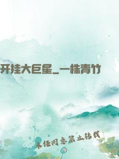 开挂大巨星