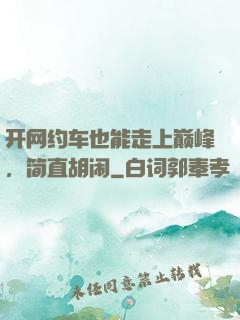 开网约车也能走上巅峰，简直胡闹