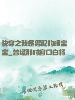 快穿之我是男配的暖宝宝