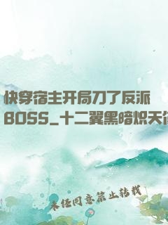 快穿宿主开局刀了反派BOSS