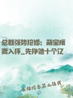 总裁强势抢婚：萌宝暖妻入怀