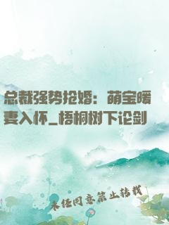 总裁强势抢婚：萌宝暖妻入怀