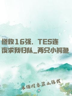 惨败16强，TES连夜求我归队
