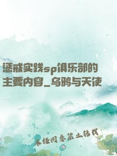 惩戒实践sp俱乐部的主要内容