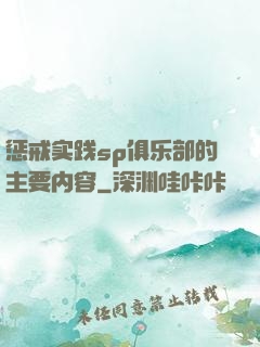 惩戒实践sp俱乐部的主要内容