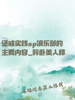 惩戒实践sp俱乐部的主要内容