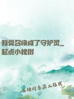 我受召唤成了守护灵