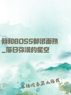 我和BOSS都很面熟
