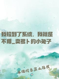 我捡到了系统，我就是不用