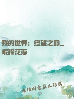我的世界：终望之巅