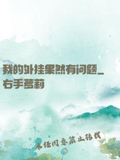 我的外挂果然有问题