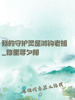 我的守护灵是鸿钧老祖