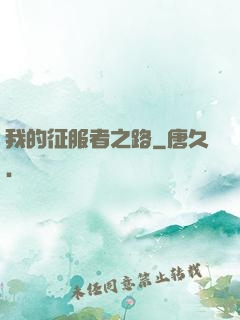 我的征服者之路