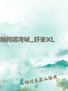 我的混沌城