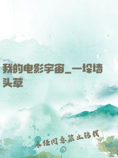 我的电影宇宙