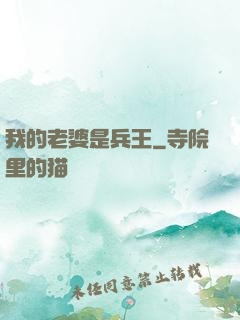 我的老婆是兵王