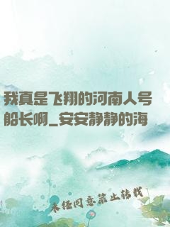 我真是飞翔的河南人号船长啊