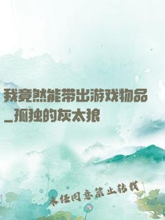 我竟然能带出游戏物品