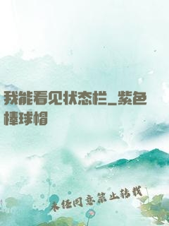 我能看见状态栏