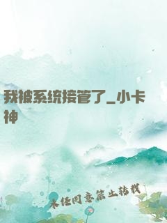 我被系统接管了