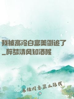 我被高冷白富美倒追了