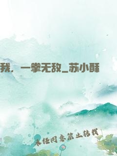 我，一拳无敌