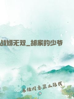 战婿无双