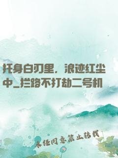 托身白刃里，浪迹红尘中