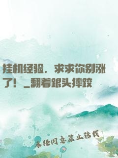 挂机经验，求求你别涨了！