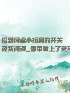捡到同桌小玩具的开关免费阅读
