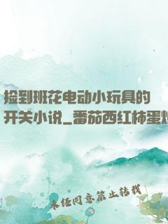 捡到班花电动小玩具的开关小说