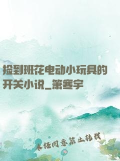 捡到班花电动小玩具的开关小说
