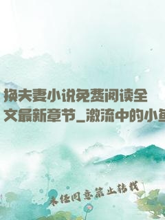 换夫妻小说免费阅读全文最新章节