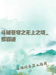 斗破苍穹之无上之境