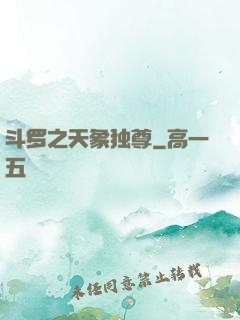 斗罗之天象独尊
