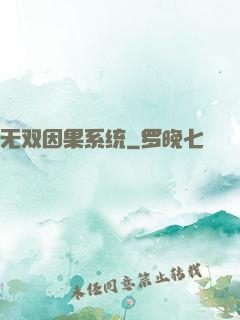 无双因果系统