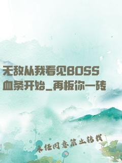 无敌从我看见BOSS血条开始