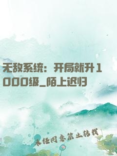 无敌系统：开局就升1000级