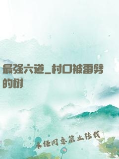 最强六道