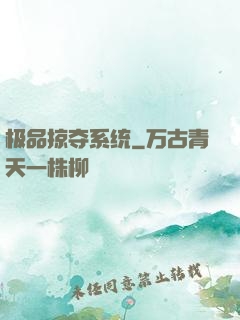 极品掠夺系统