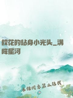 校花的贴身小光头