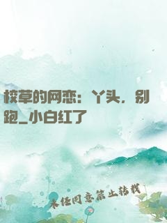 校草的网恋：丫头，别跑