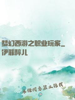 梦幻西游之职业玩家