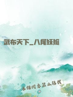 武布天下