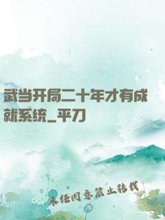 武当开局二十年才有成就系统