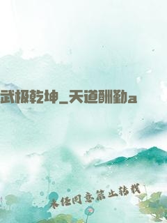 武极乾坤