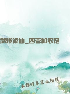 武爆修仙