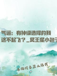气运：有神级选择的我这不起飞？