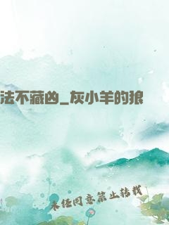法不藏凶